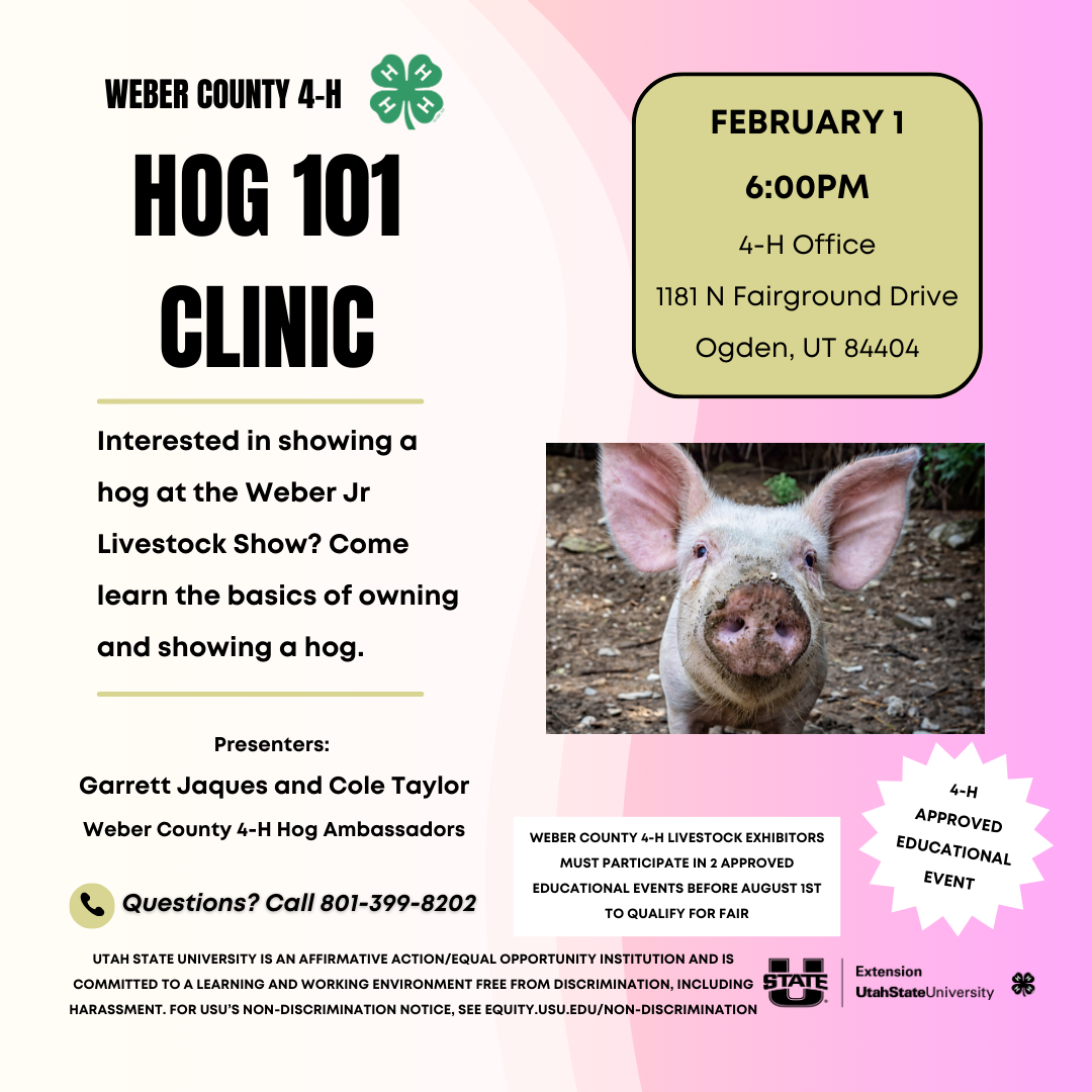Hog Clinic