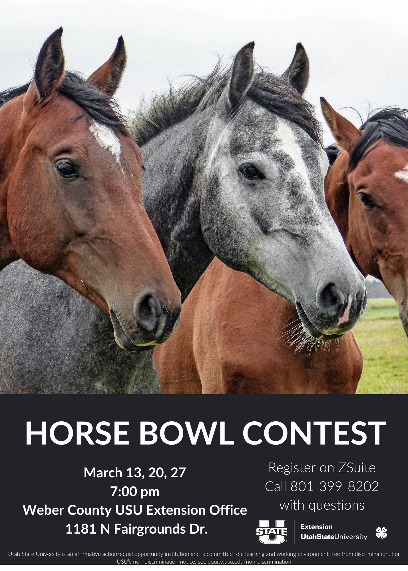 Horse Bowl