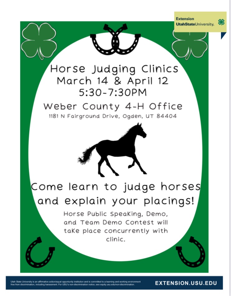 Horse Judging Clinic