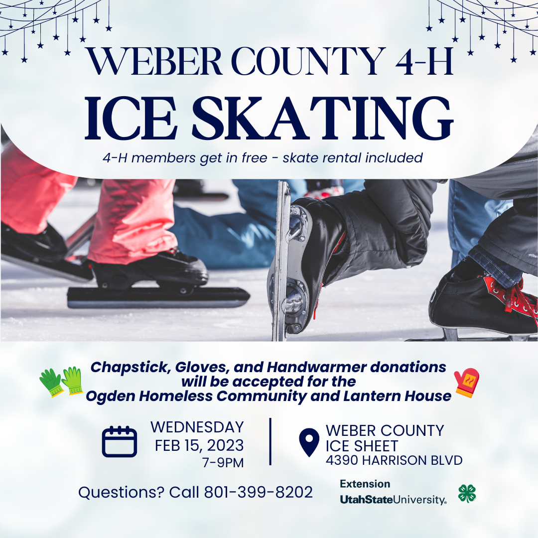 Ice Skating Flyer