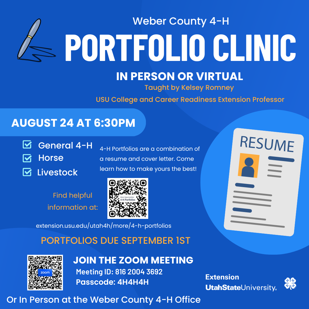 Portfolio Clinic