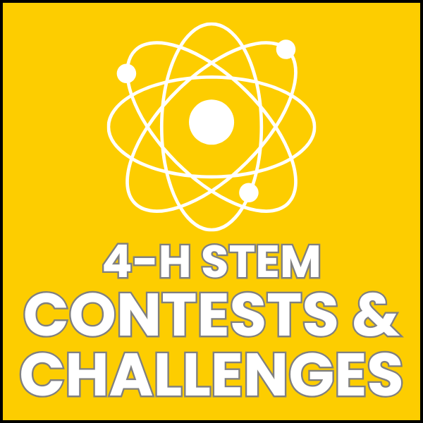 STEM Challenges