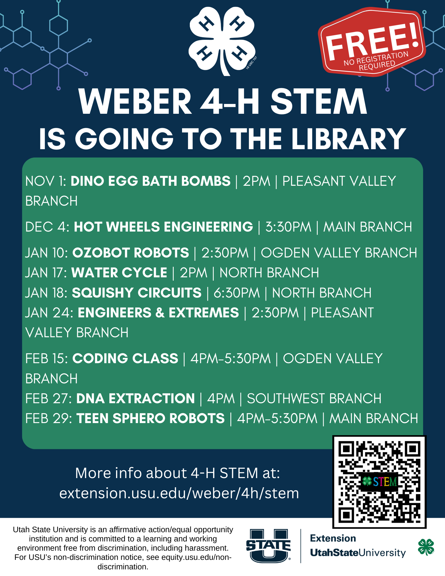 STEM at the Library