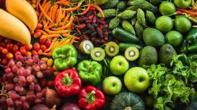 Local Fruit and Vegetable Availability along the Wasatch Front 