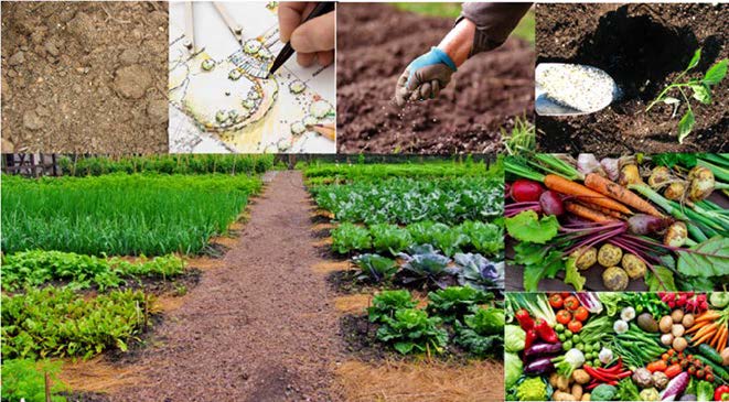 Tips for Growing Garden Vegetables in Utah: Soil Preparation