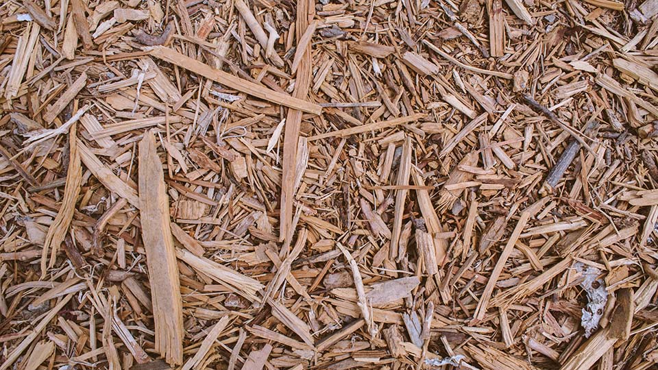 Wood chip layed down as mulch
