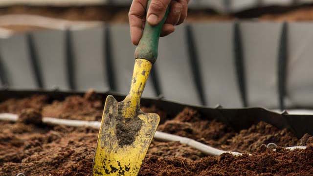 Preparing Garden Soil