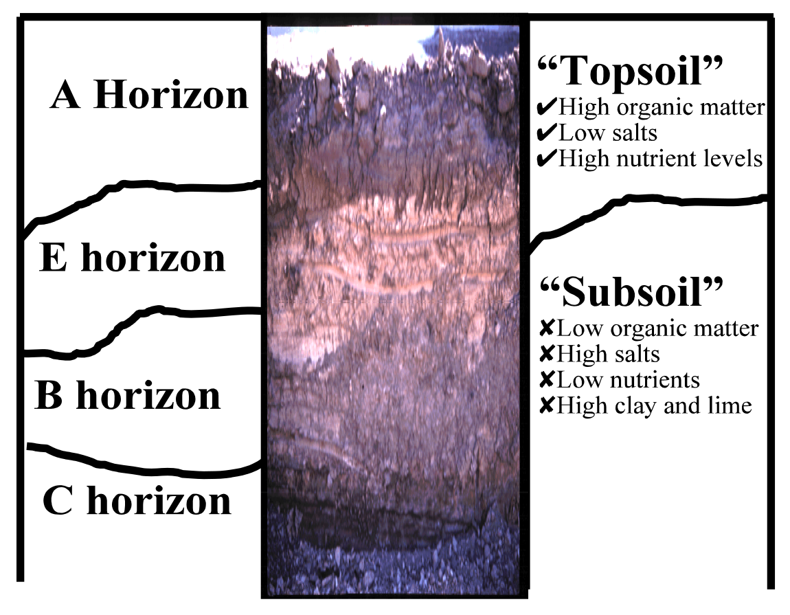 Diagram of soil profile