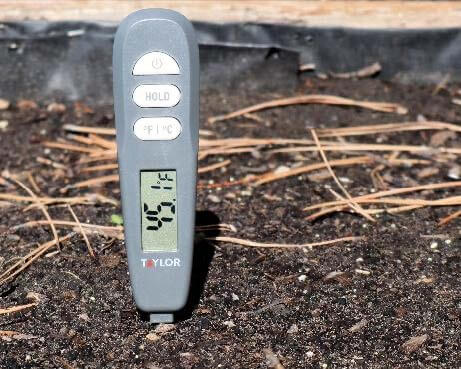 Soil thermometer stuck into the ground