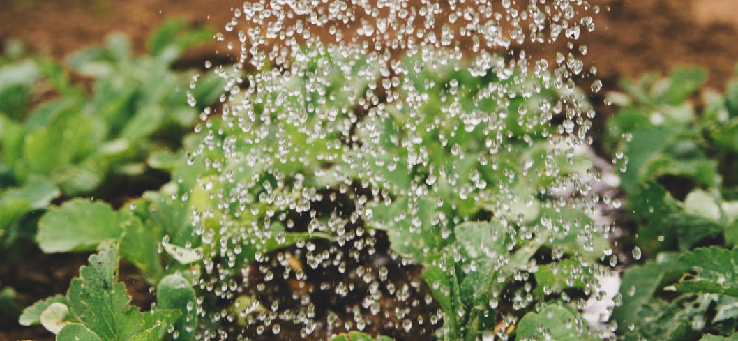 water droplets in air